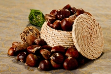 Kestane Protein Kullanımı ve Faydaları Nelerdir?