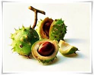 At Kestanesi Kremi Ne İşe Yarar?