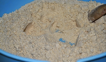 Kestane Unu Kullanımı ve Faydaları Nelerdir?